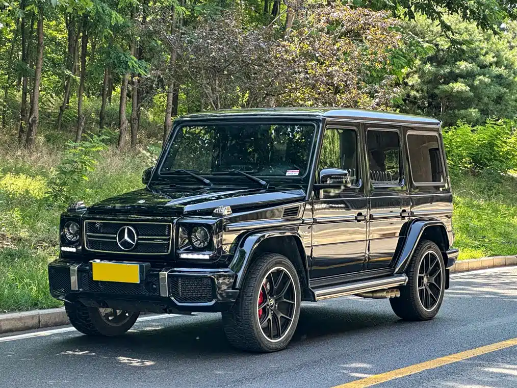 Mercedes-Benz G-Class 2018 — фото 1