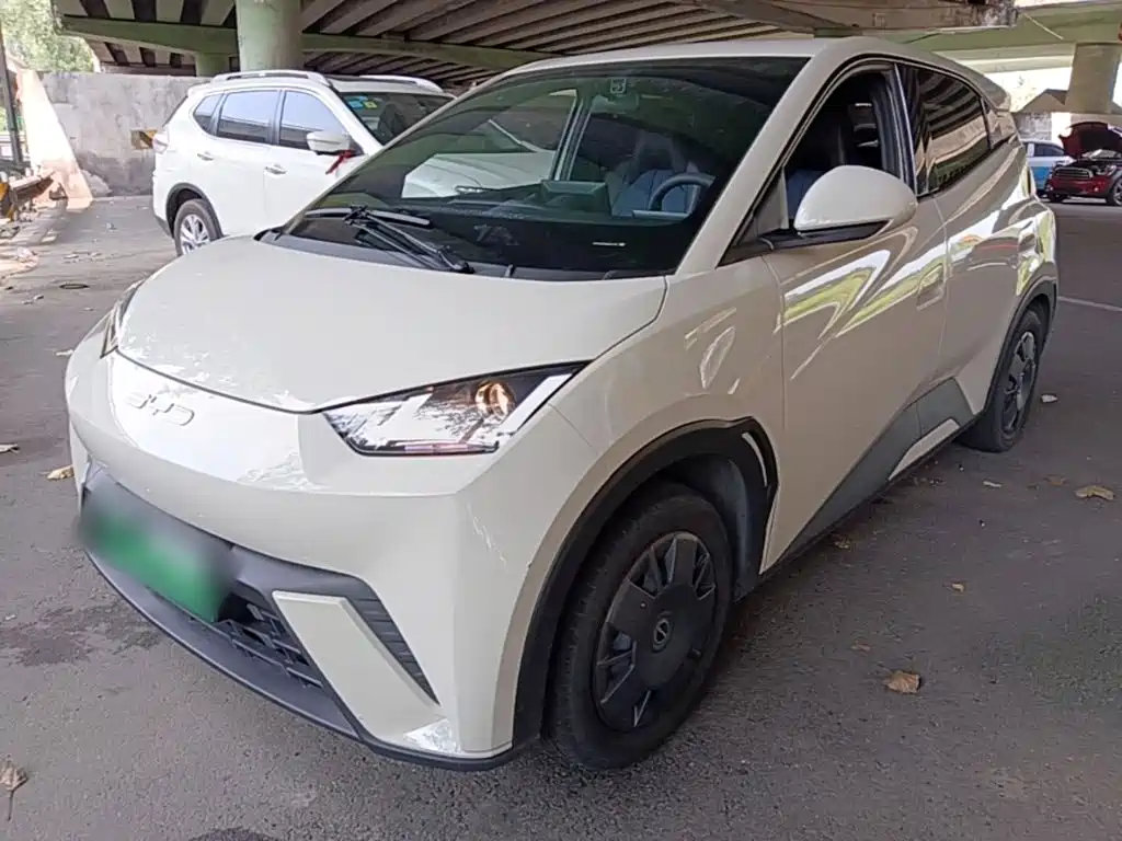 BYD Seagull 2024