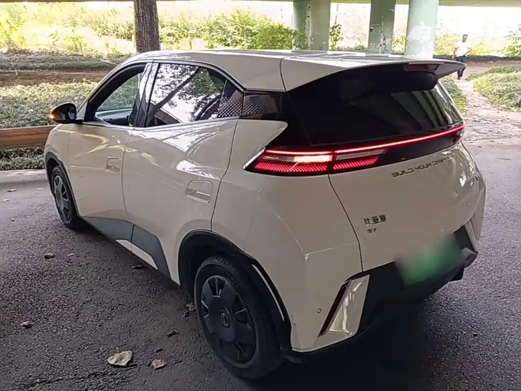 BYD Seagull 2024