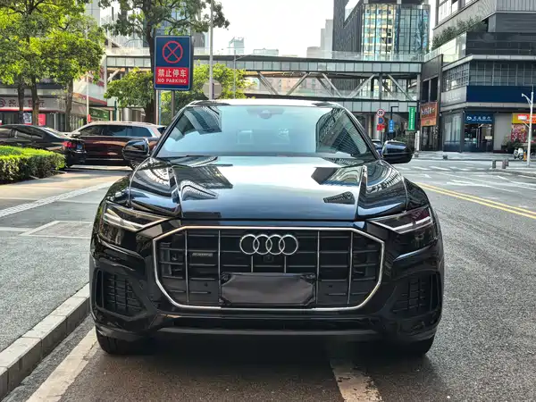 Audi Q8 2021