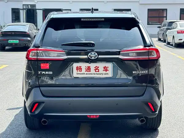 Toyota Wildlander 2022
