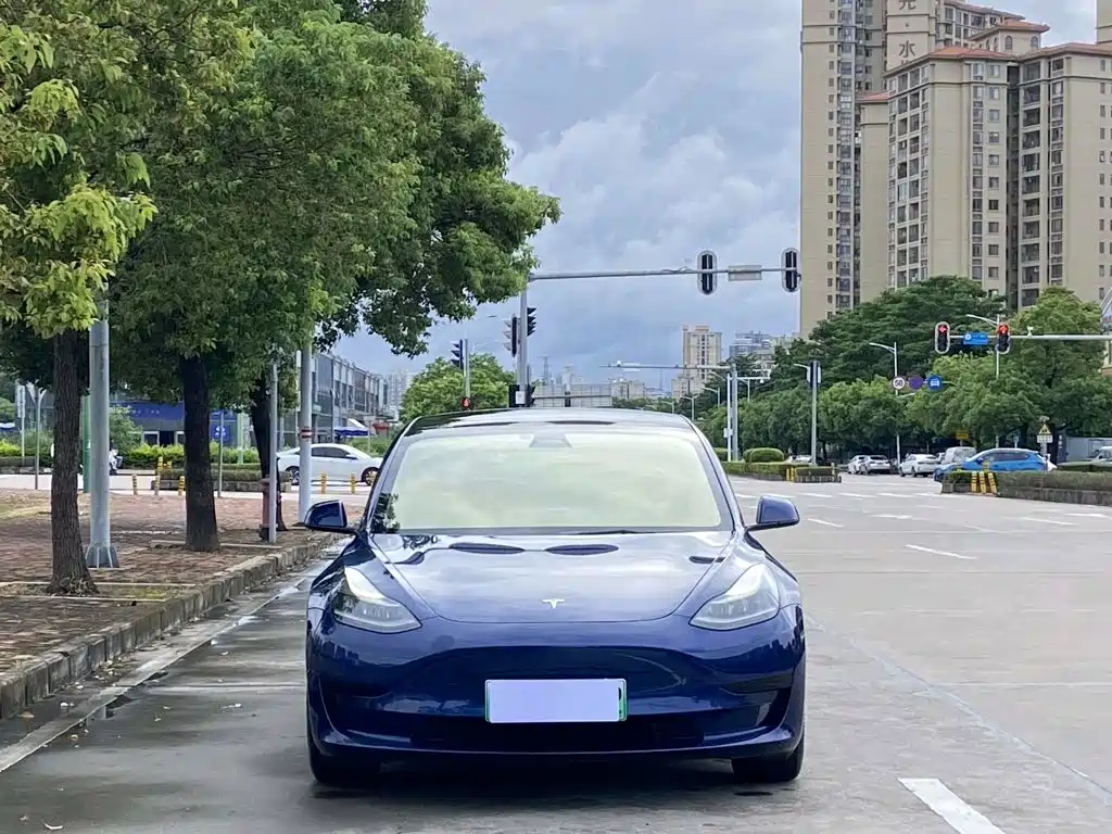 Tesla Model 3 2021 — фото 2