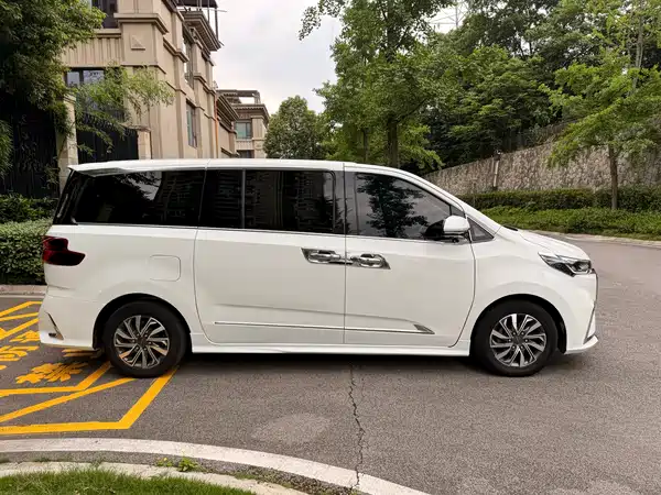 Maxus G20 2021