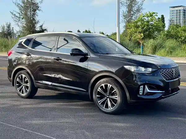 Wey VV6 2020