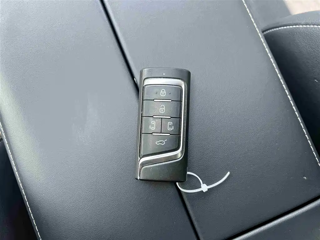 GAC Motor Trumpchi M8 2021 — фото 33