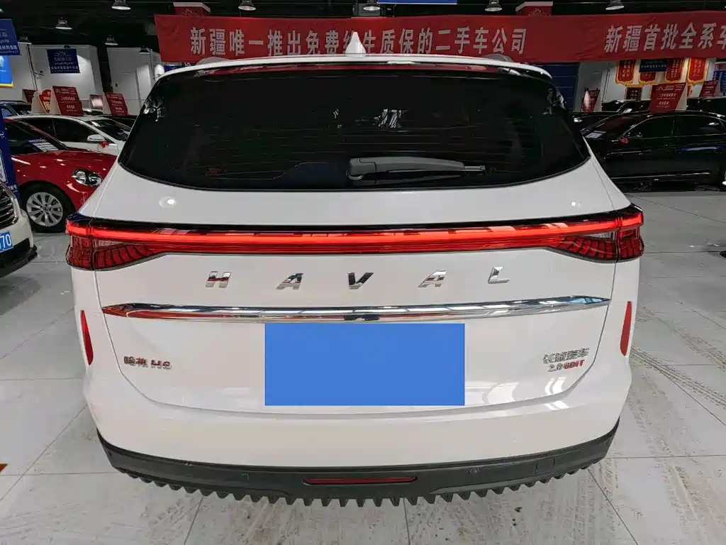 Haval H6 2021 — фото 8