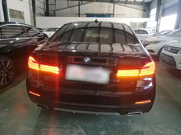 BMW 5 Series New Energy 2022