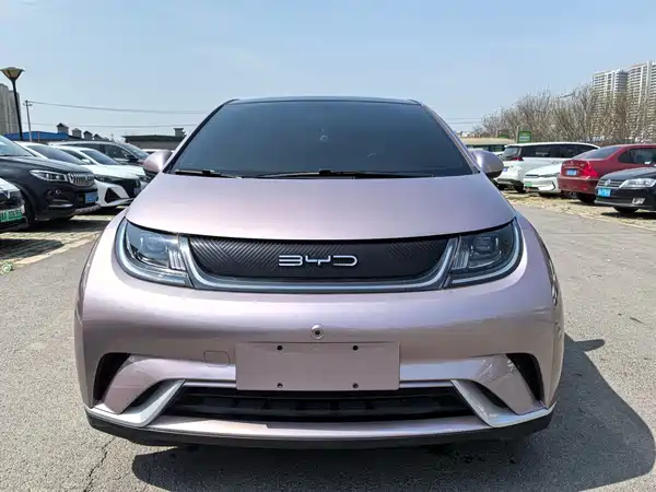 BYD Dolphin 2022