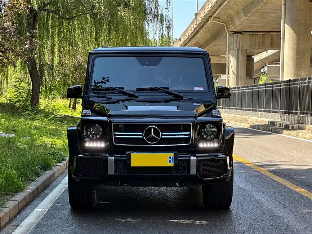 Mercedes-Benz G-Class 2018 — фото 2