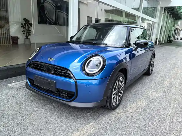 MINI MINI 2025