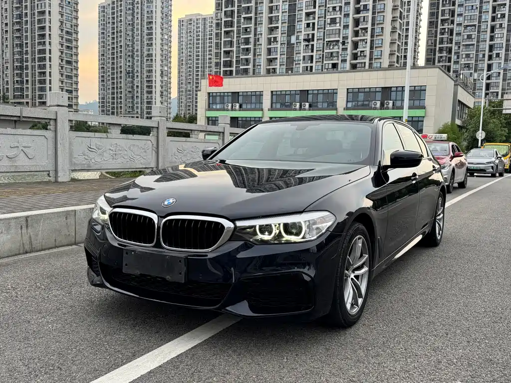 BMW 5 Series 2019