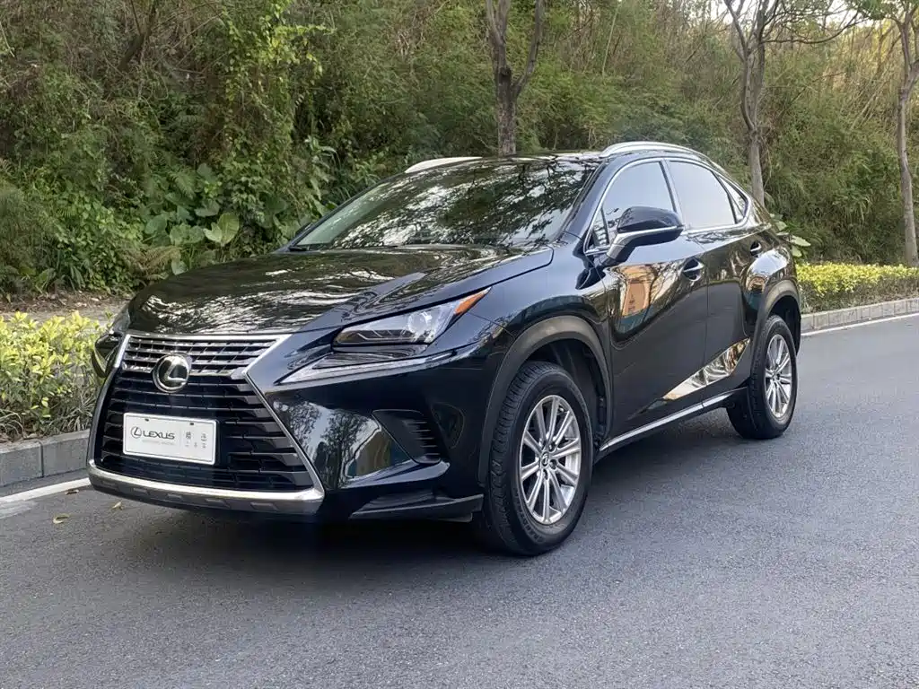 Lexus NX 2018 — фото 1