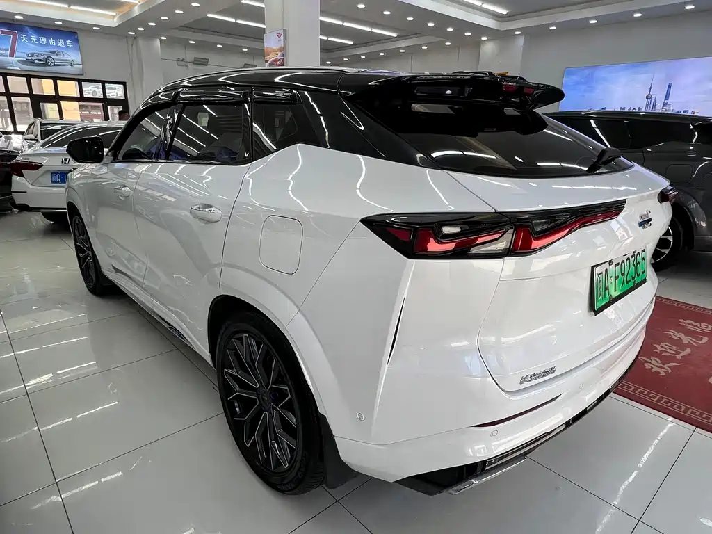 Oshan Oushang Z6 New Energy 2023 — фото 7