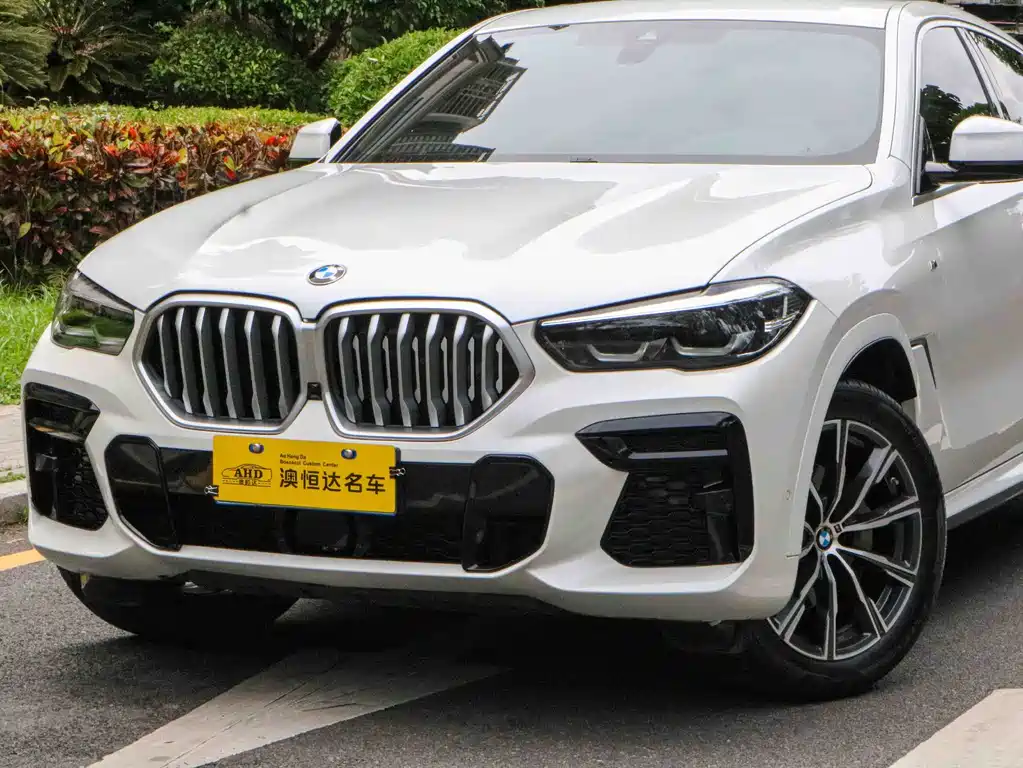 BMW X6 2022 — фото 2