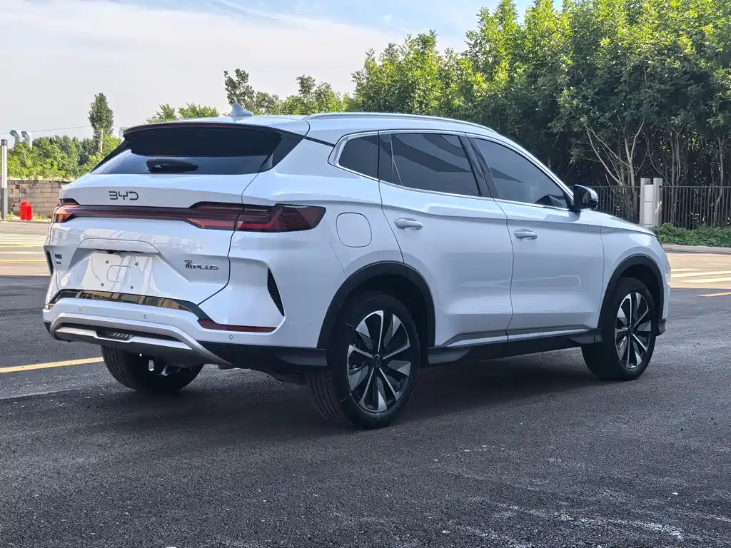 BYD PLUS New Energy 2024 — фото 4