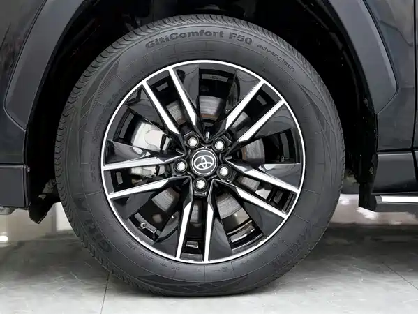 Toyota Weilanda New Energy 2021