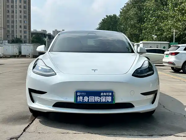 Tesla Model 3 2020