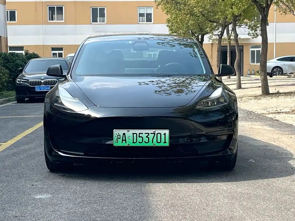 Tesla Model 3 2021