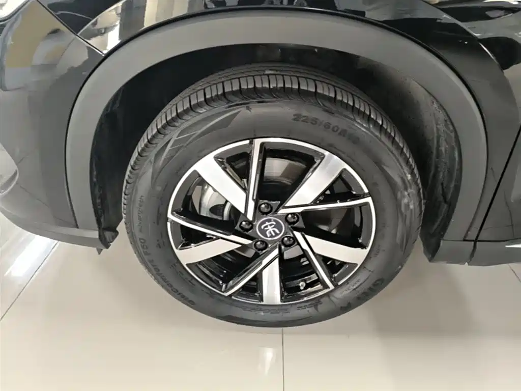 BYD Pro New Energy 2024 — фото 23