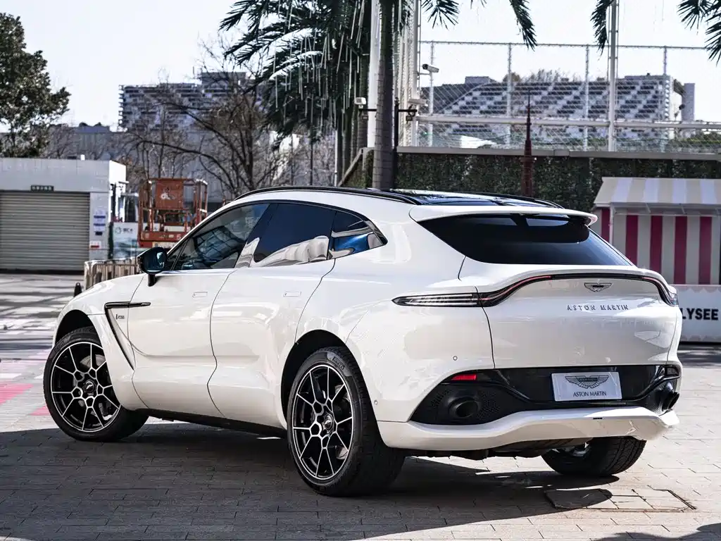 Aston Martin DBX 2021 — фото 18