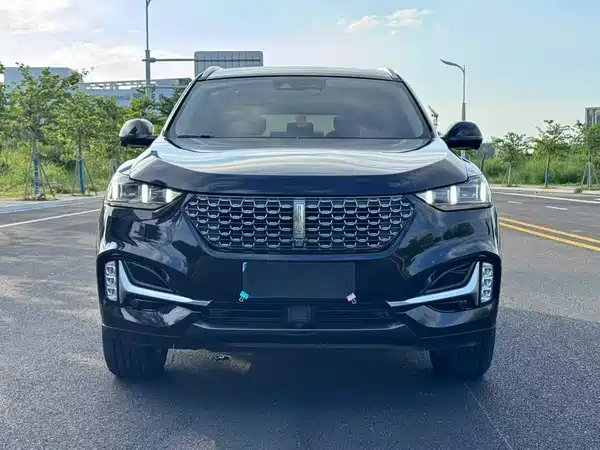 Wey VV6 2020