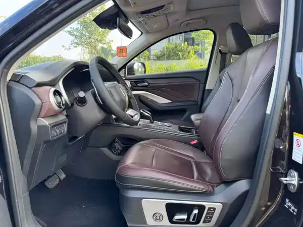 Wey VV6 2020