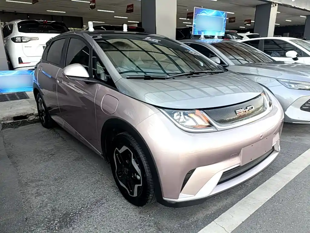 BYD Dolphin 2022