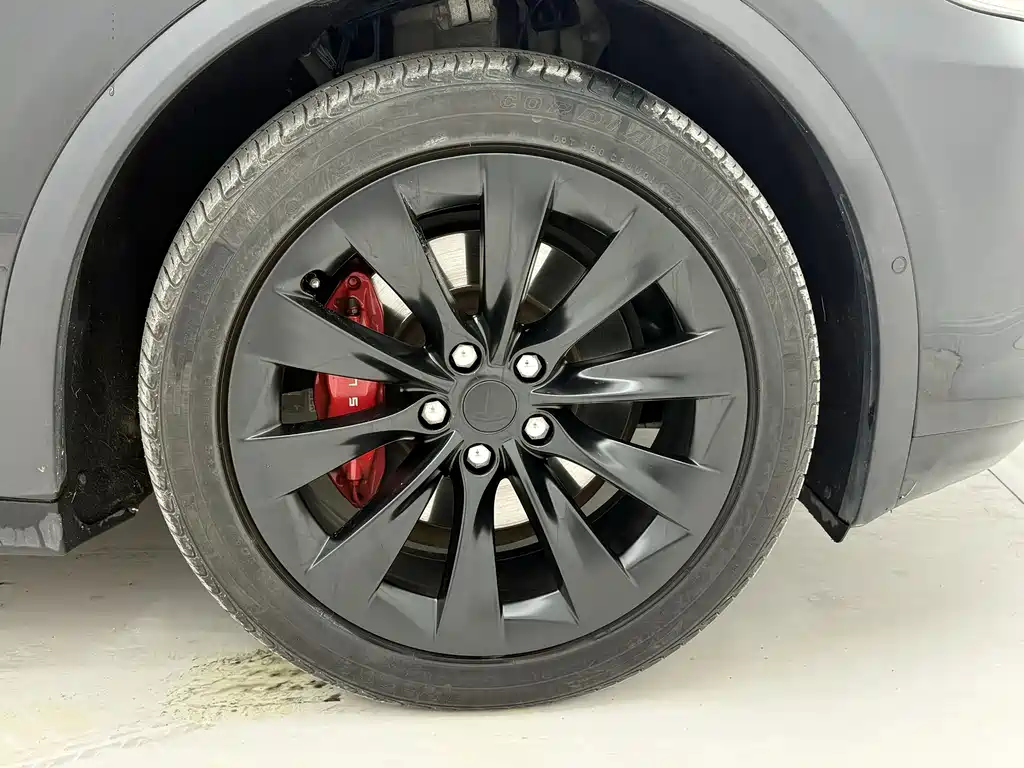 Tesla Model X 2018 — фото 18