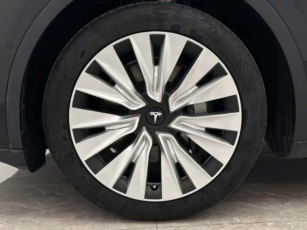 Tesla Model Y 2024 — фото 19