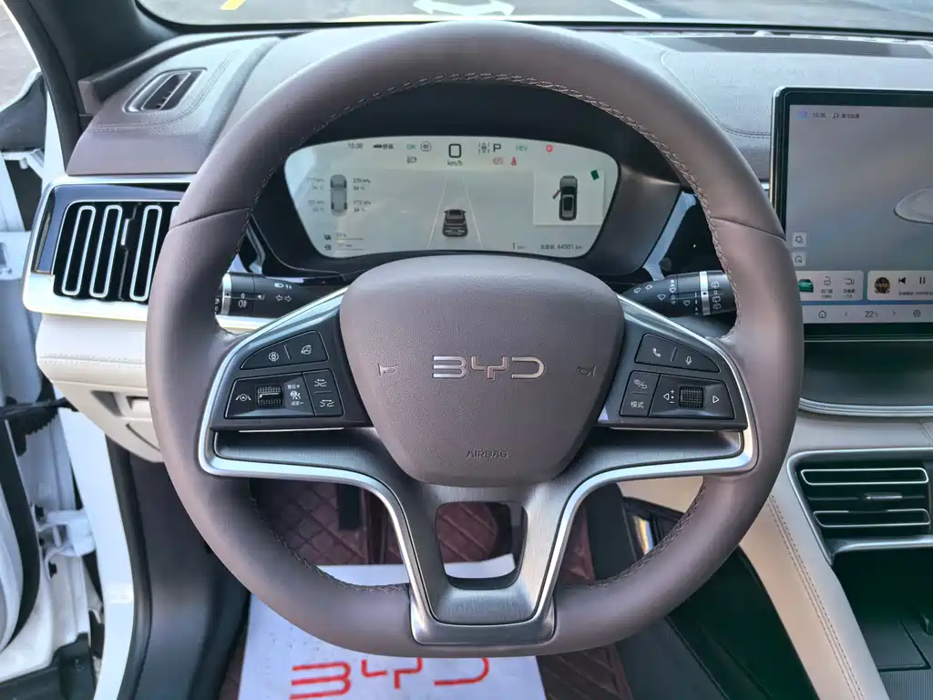 BYD PLUS New Energy 2024 — фото 14