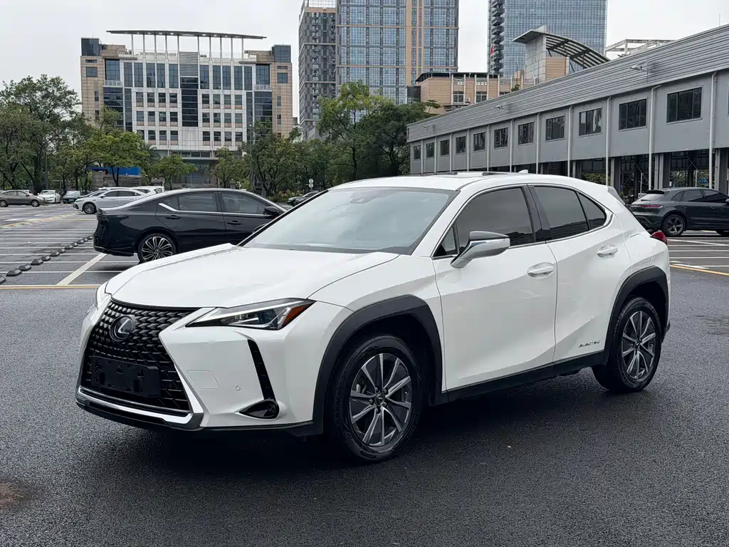 Lexus UX New Energy 2020 — фото 1