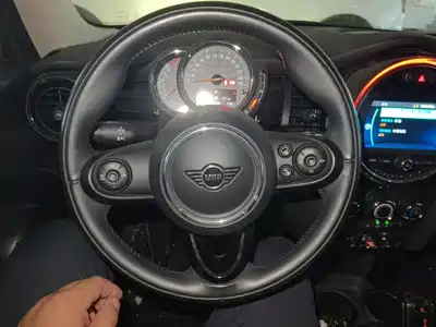 MINI MINI 2019