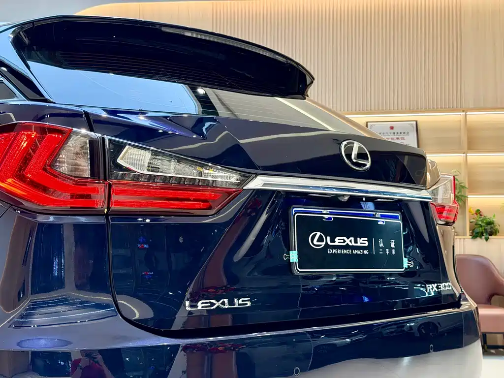 Lexus RX 2018 — фото 20