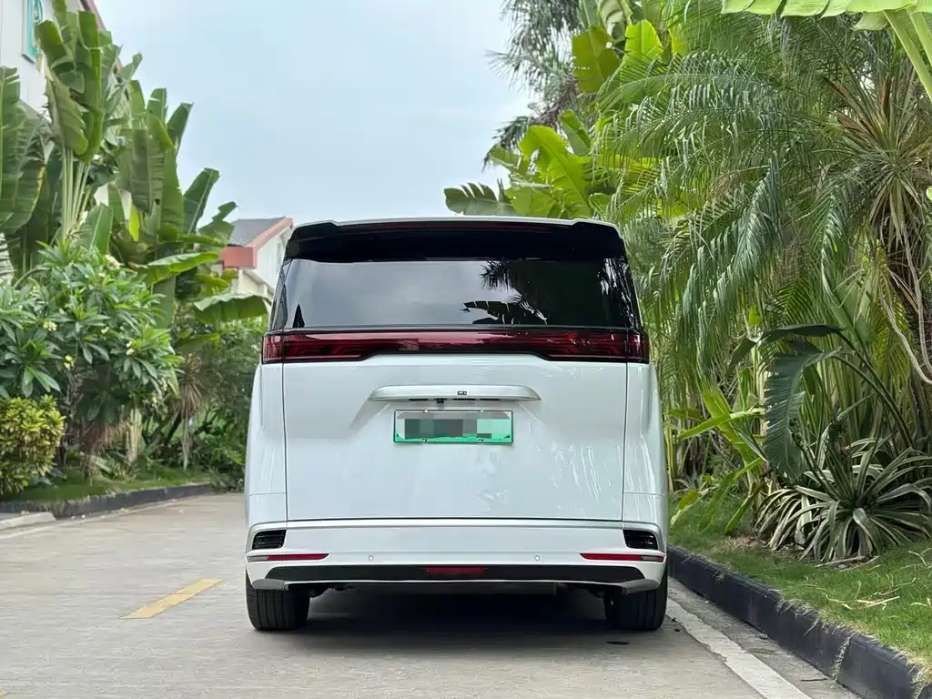 Denza D9 2023