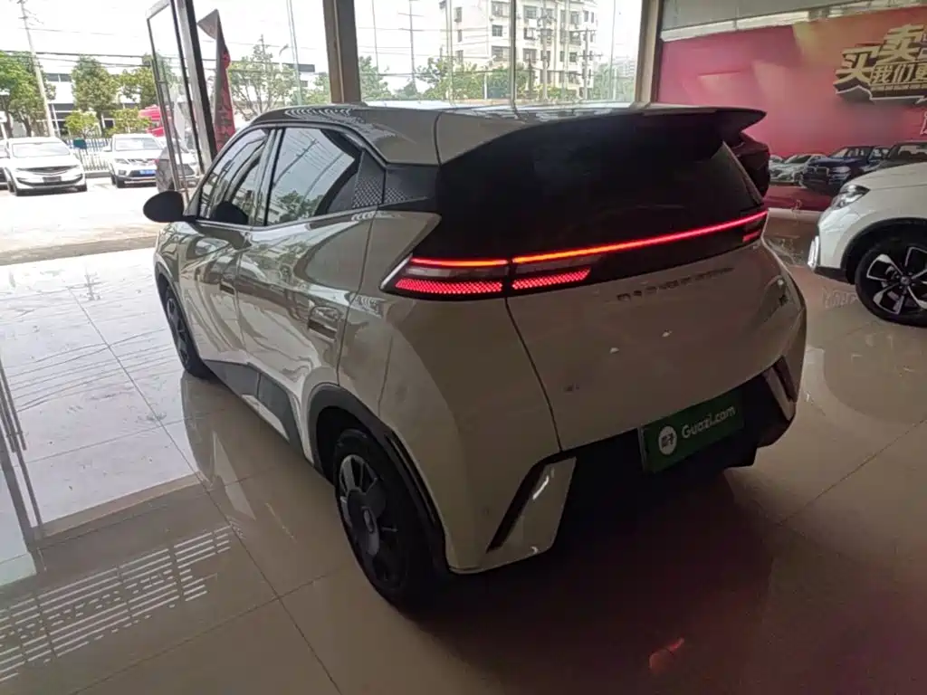BYD Seagull 2024