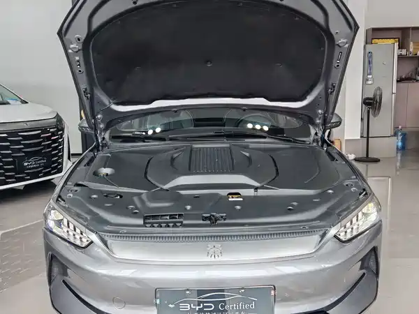 BYD Qin PLUS 2021