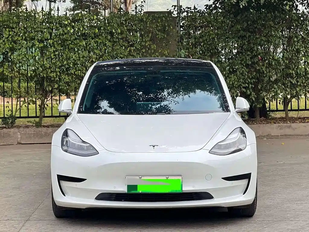 Tesla Model 3 2021 — фото 2