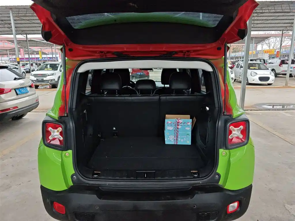 Jeep Renegade 2018 — фото 15