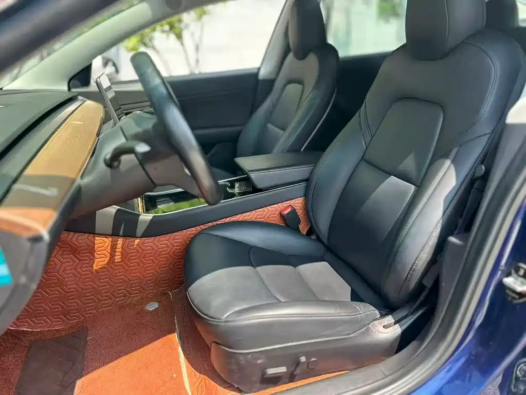 Tesla Model 3 2019