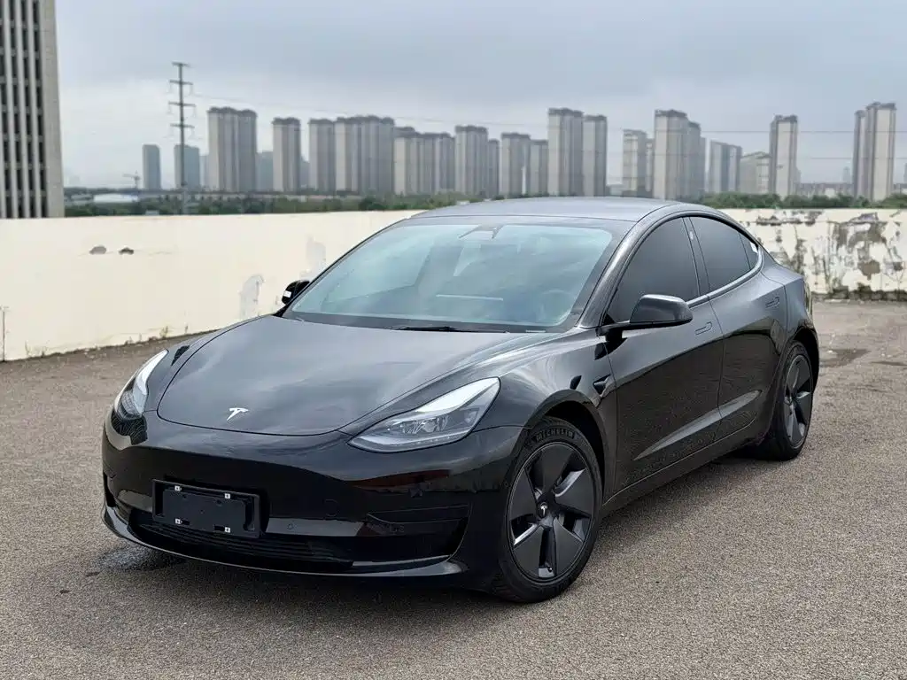 Tesla Model 3 2021 — фото 1