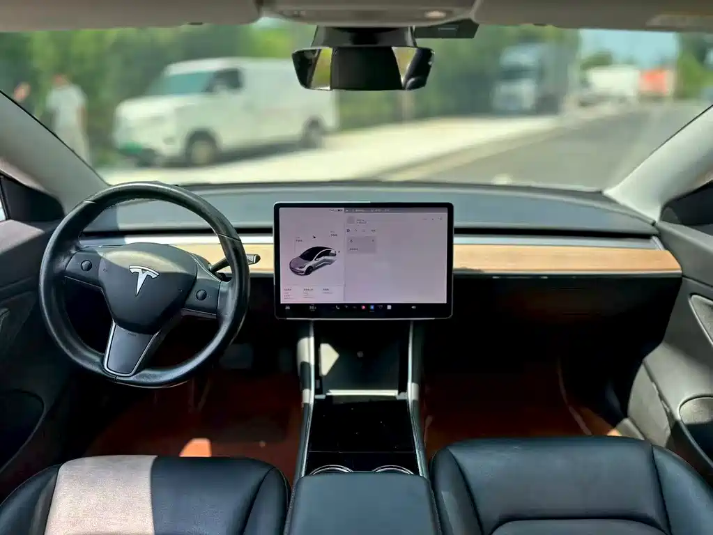 Tesla Model 3 2019