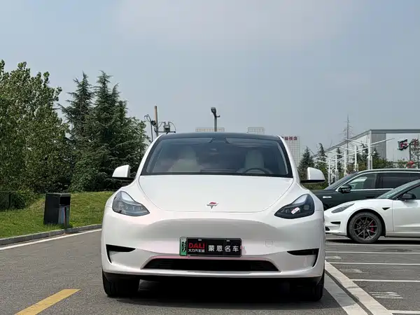 Tesla Model Y 2024