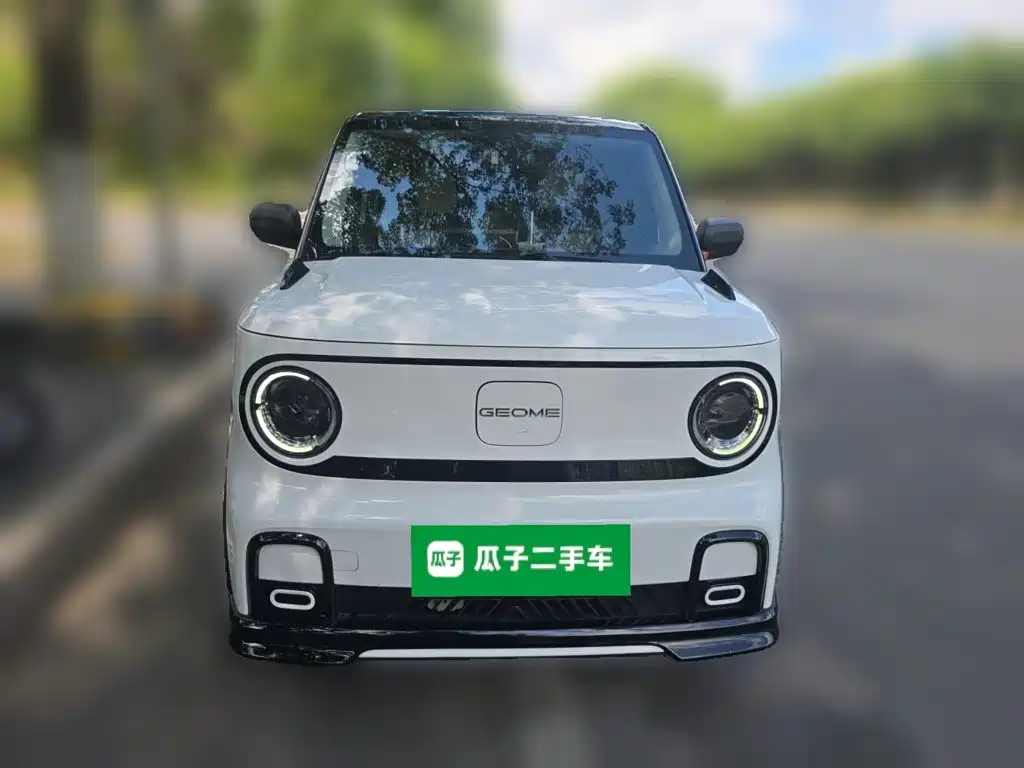 Geely Galaxy Panda 2024 — фото 2