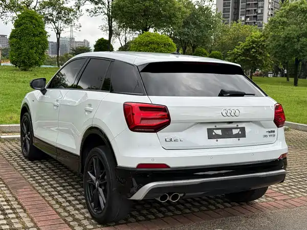 Audi Q2L 2019