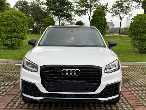 Audi Q2L 2019
