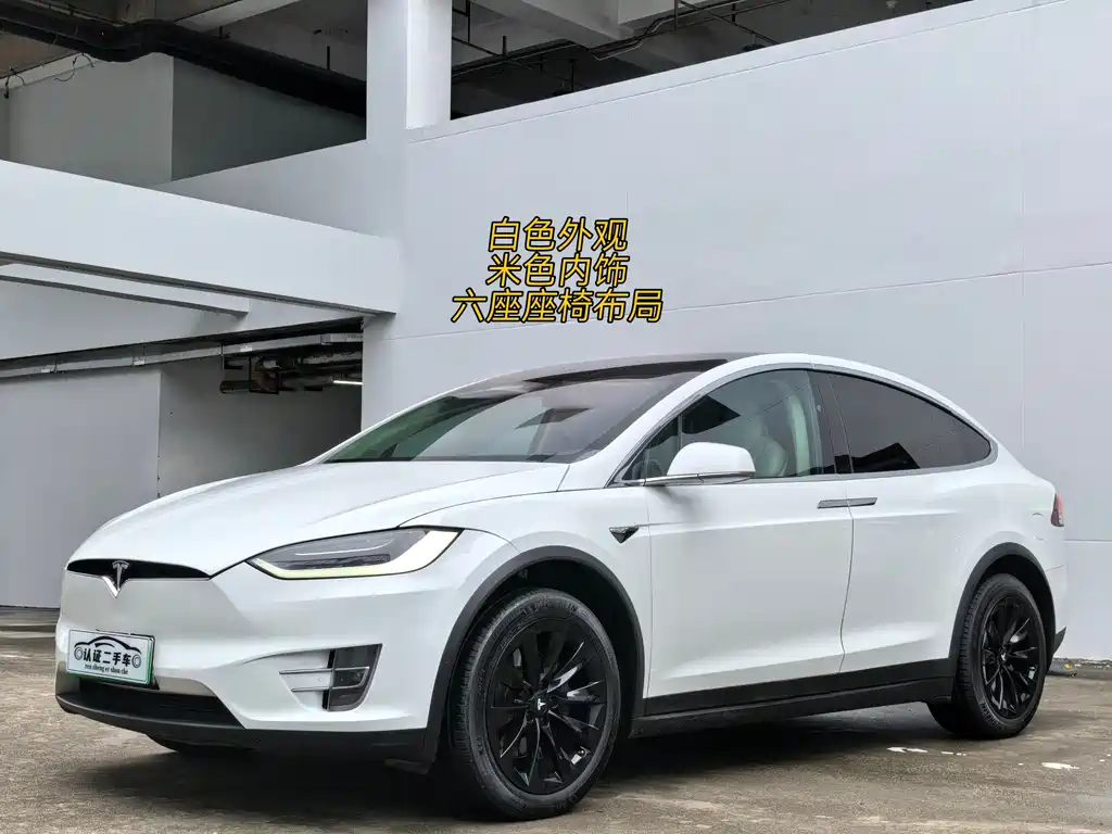 Tesla Model X 2018