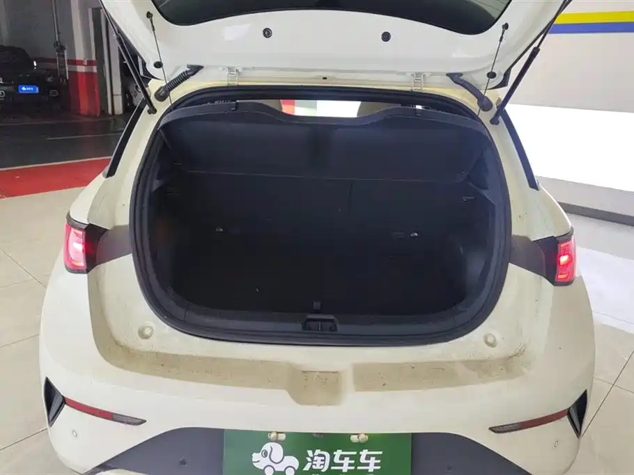 BYD Dolphin 2025