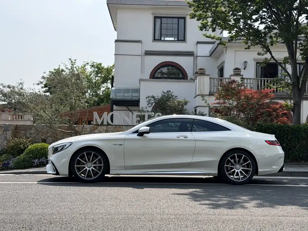 Mercedes-Benz S-Class AMG 2020 — фото 18