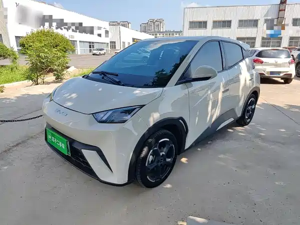 BYD Seagull 2024