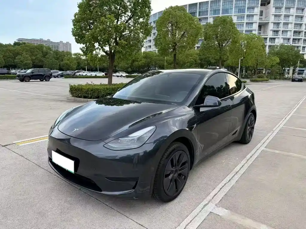 Tesla Model Y 2024 — фото 1